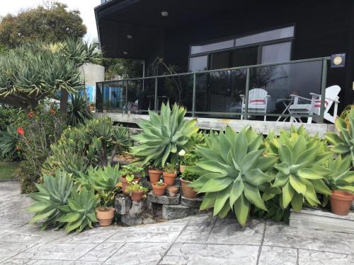 Mangawhai Heads Apartment | Ocean View Retreat with Top Amenities & Guest Rated 9/10