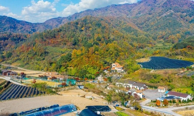 Muju House | Healing Resort Maple Village hue