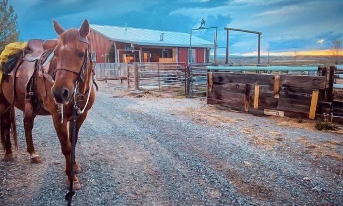 Cody Apartment | Discover Heart Strings Ranch by Heart Mountain - Pet Friendly!