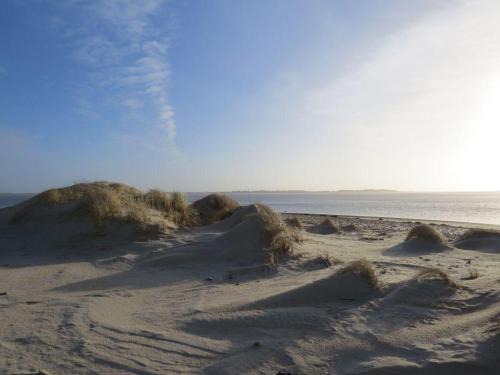 Norddorf Apartment | Heckenrose: Family-Friendly Retreat with Pet Amenities