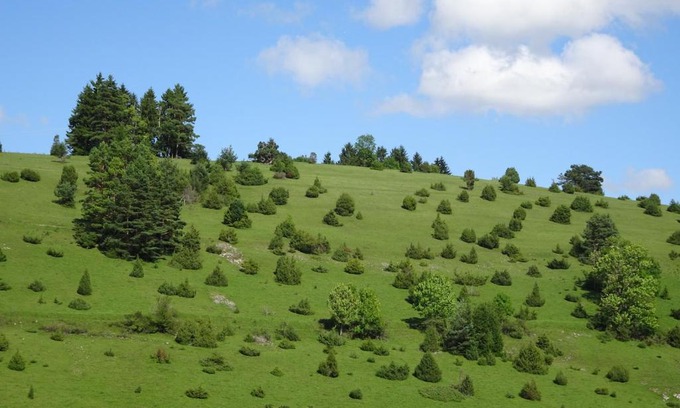 Gomadingen House | Family-Friendly Retreat at Heid-Blick - Rated 8.9/10