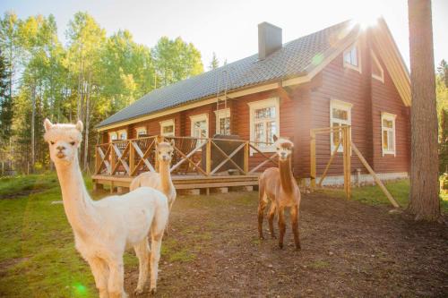 Jaala Cabin | Family-Friendly Retreat at Heinähattu - Rated 9.4/10