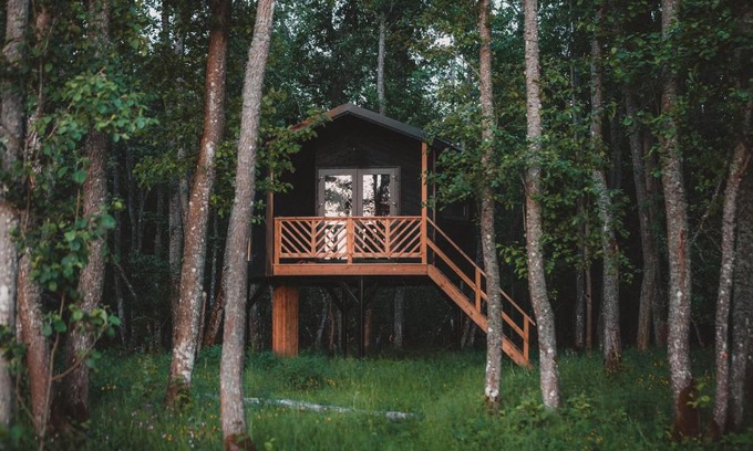 Lihula House | Experience Hekso Treehouse: Family-Friendly Getaway