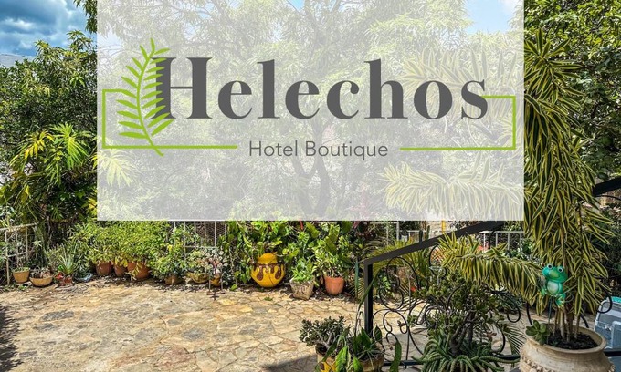 Comayagua Hotel | Helechos Hotel: Guest Rated 9/10 with Pet-Friendly Amenities