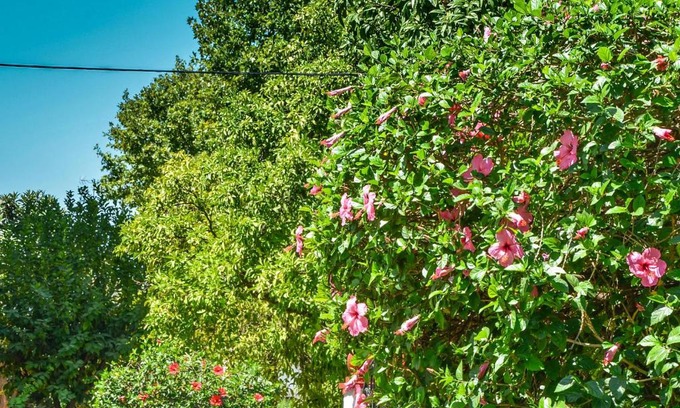Heliopolis Apartment | Family-Friendly Retreat at Heliópolis I with Great Amenities