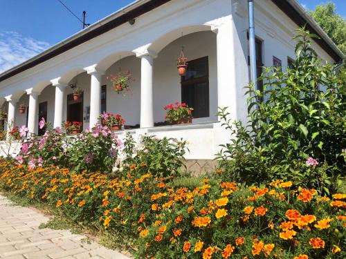 Vadna House | Pet-Friendly Heni Vendégháza - Guest Rated 9/10 Stay