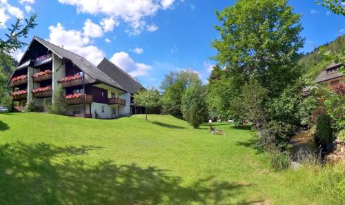Menzenschwand-Hinterdorf Apartment | Relaxing Escape at A6 Albmatte-FEWO with Sauna & Pool