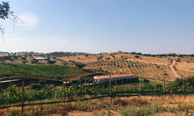 Corte do Pinto House | Guest Rated 9.5: Herdade da Moringa with Pool & Ocean View