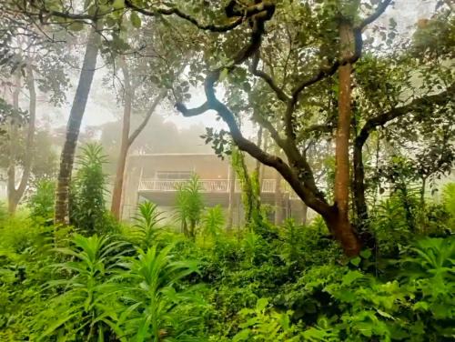 Vellamunda Villa | Pet-Friendly Hermitage: Guest Rated 10/10 with Breakfast