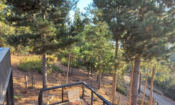 Talca Cabin | Cozy Lakeview Cabin in Vichuquén, Maule Region, Chile