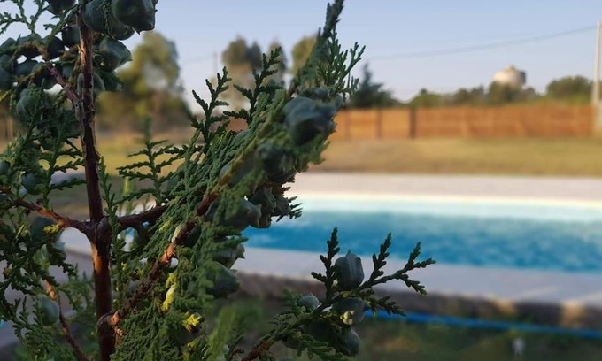 Pigue Apartment | Enchanting LA SOÑADA: Family-Friendly with Pool Access