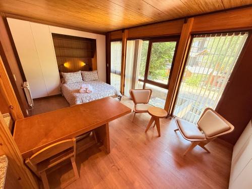 Lanin National Park Apartment | Modern Monoambiente in Central SMA - Rated 9.4/10!