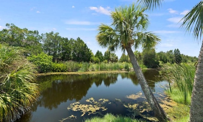 Spring Hill Apartment | Prime Hernando Beach Apartment - Steps from Downtown Fun