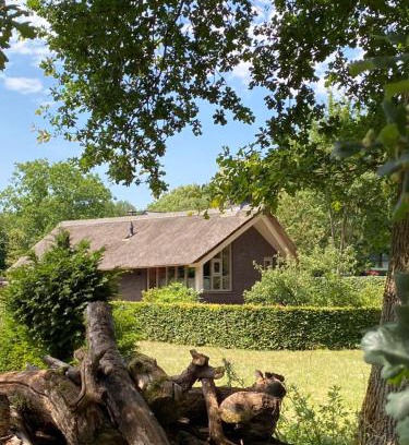 Malden House | Family-Friendly Comfort at Het Beregoed - Rated 9.4/10
