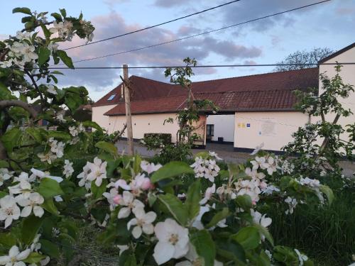 Alken Bed & Breakfast | Oceanfront Retreat at Het Hemelsveld - Rated 9.3/10