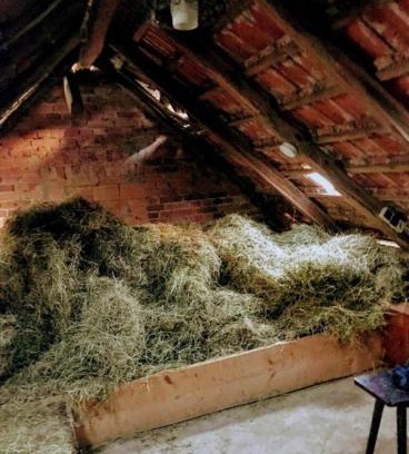 Berka/Werra Apartment | Unique Farm Stay with Community Bath and Cozy Hay Beds
