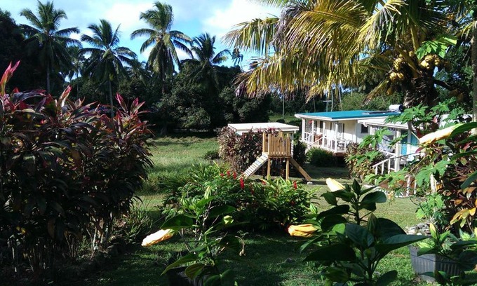 Matavera House | Experience Hibiscus Homely Farm Cottage with Bikes & Breakfast