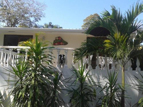 Contadora Island Bed & Breakfast | Hibiscus House Bed and Breakfast: 4-Star Family Retreat