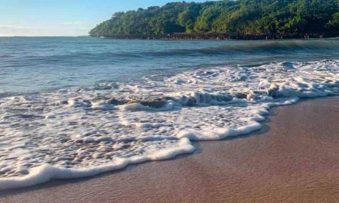 San Isidro Apartment | Discover a Hidden Gem Steps from the Beach & El Yunque