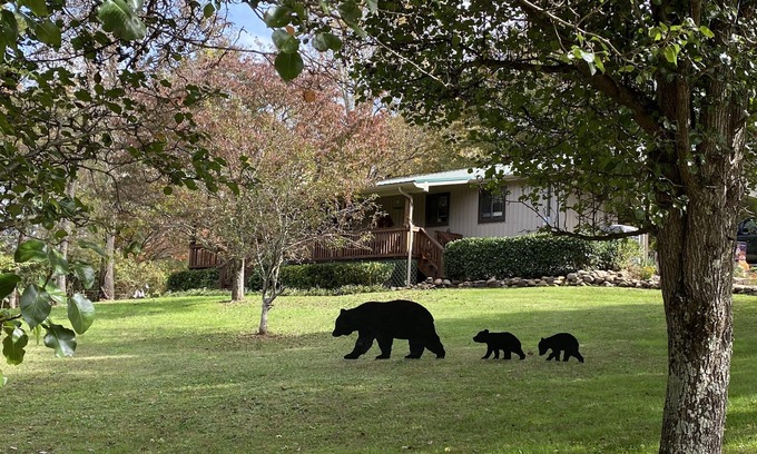 Cosby Cabin | Pet-Friendly Hidden Haven with Fenced Yard & Spa Retreat