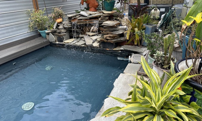 Historic Uptown Apartment | Exceptional Hidden Oasis Guest Apt with Pool & Bikes