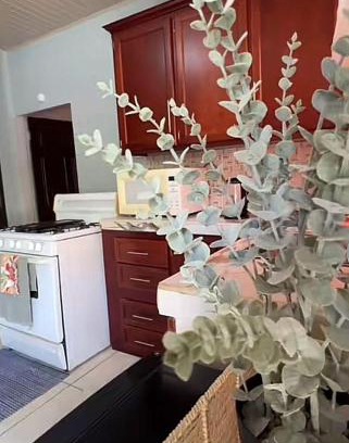 Penal-Debe Apartment | Hidden Treasures