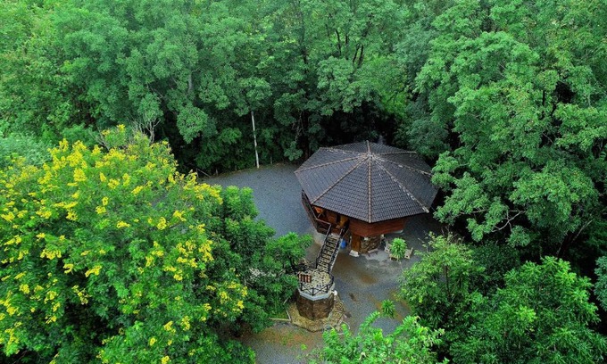 Nong Nam Daeng House | Discover the Hidden Treehouse in Khao Yai - 10/10 Rated
