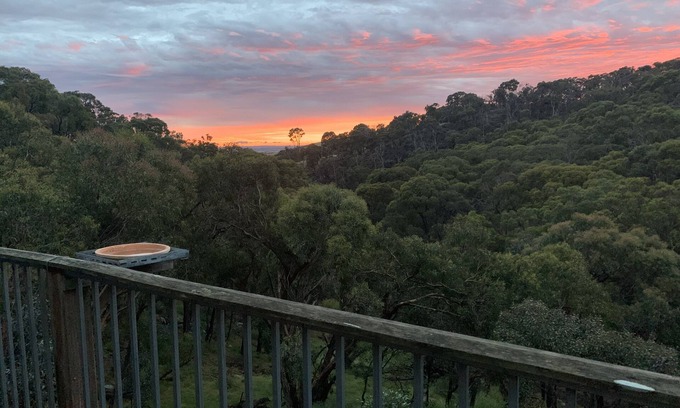 Anakie Cabin | Serene Hidden Valley House with Ocean Views & Private Bushland