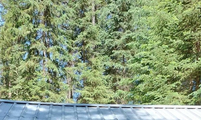 Olney RV Rental | Cozy Hideaway Hut with Lake Views and Pool Access