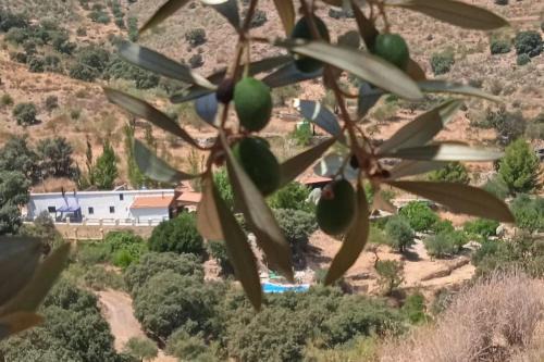 Alcudia de Monteagud House | Relax at Hideaway @ The Orchard with Oceanfront Amenities