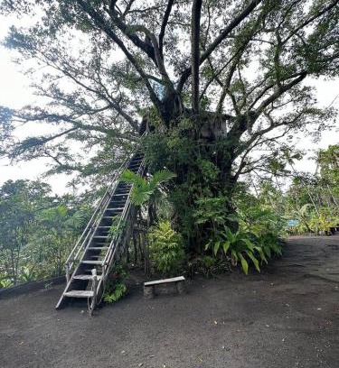 Tanna Island House | Enchanting Hideaway Treehouse - Pet and Child Friendly Retreat
