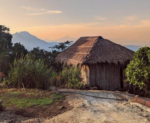 Todupulai House | Pet and Child Friendly Retreat at Hideout Hills