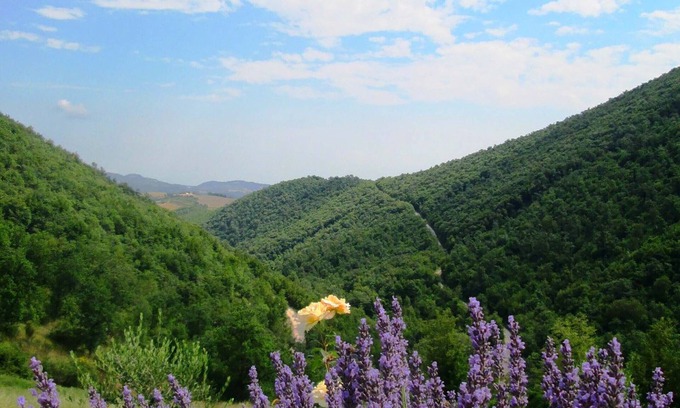 Monterosso Apartment | Explore Nature and Recreation at Cottage 'La Terra' in Le Marche