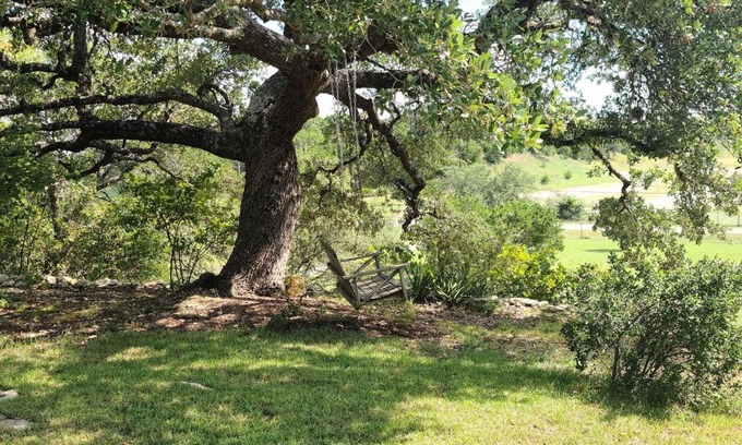 Spring Branch House | Relax and Renew at Hill Country Haute n Haus - 4 Star Stay