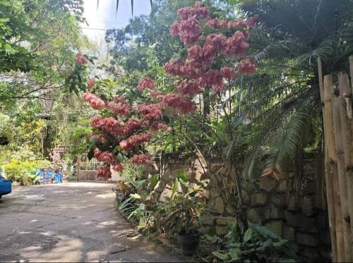 Diego Martin House | Family-Friendly Escape at Hillcrest Sanctuary Awaits You