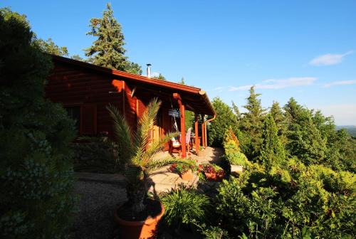 Szentendrei Apartment | Hilltop Hideout: 4-Star Retreat with Hot Tub & Breakfast