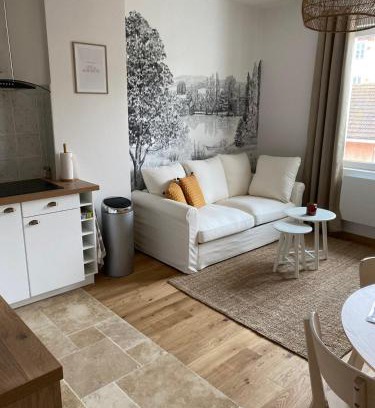 Saint-Laurent-sur-Saone Apartment | Kid-Friendly Hilo Apartment in Saint Laurent Sur Sane