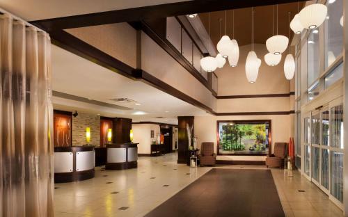 Downtown Austin Hotel | Discover Hilton Garden Inn Austin Downtown with Pool & Views
