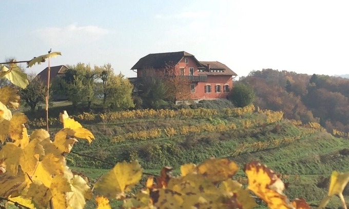 Videm House | Experience Tranquility at Hisa Vina Wine Estate Retreat