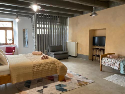 Spisske Podhradie Apartment | Historic Center Apartment