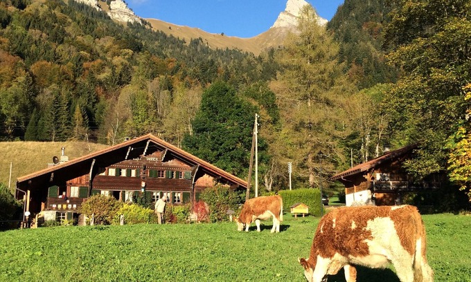 Les Plans-sur-Bex Ski Chalet | Historic Plans-sur-Bex Chalet: Guest Rated 9.8 with Spa