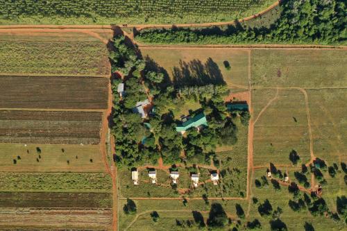 Hluhluwe Other | Wild Retreat at Hluhluwe Bush Camp - 9/10 Guest Rated