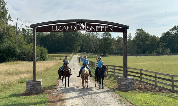 White Plains Cabin | Experience Hobbit House: Your Gateway to The Shire!