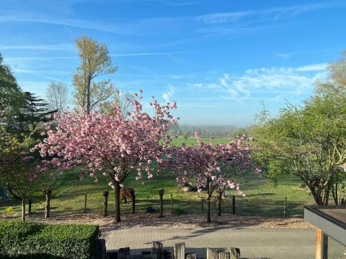 Waasmunster Apartment | Family-Friendly Getaway at Hoeve Hooierzele - 4 Star Retreat