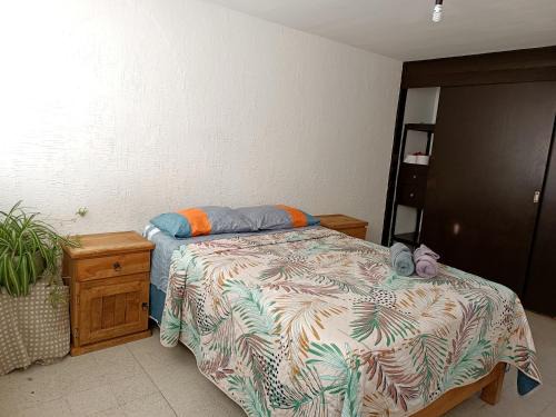 Downtown Queretaro House | Budget-Friendly Hojita House 2 for Your Travel Needs