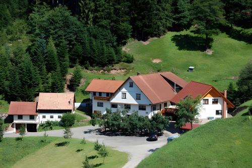 Bad Peterstal-Griesbach Apartment | Exceptional Holderstanzenhof: Pet-Friendly & Family-Oriented