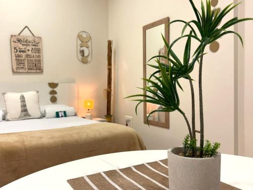 Baiona Old Town Apartment | Oceanfront Holibai: Private Ensuite with Ocean Views