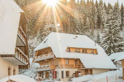 Neuglashutten Apartment | Comfortable Holiday Apartments at Hotel Grüner Baum Feldberg