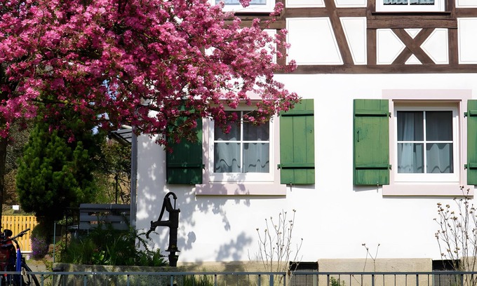 Lahr Apartment | Holiday Apartment 'Alte Schmiede' with Covered Patio, Garden and Wi-Fi