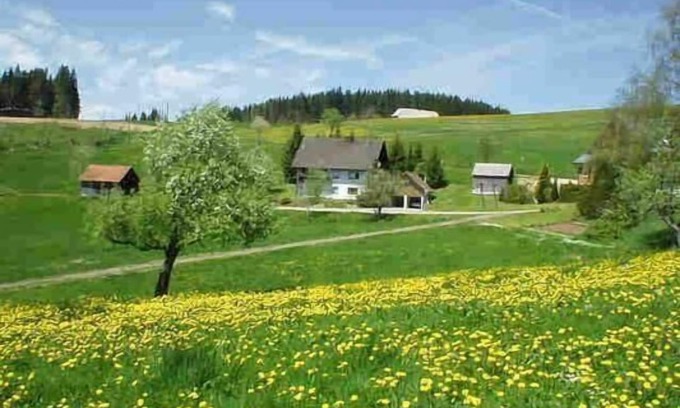 Schwarzenbach Apartment | Pet-Friendly Holiday Apartment in Titisee-Neustadt for 5